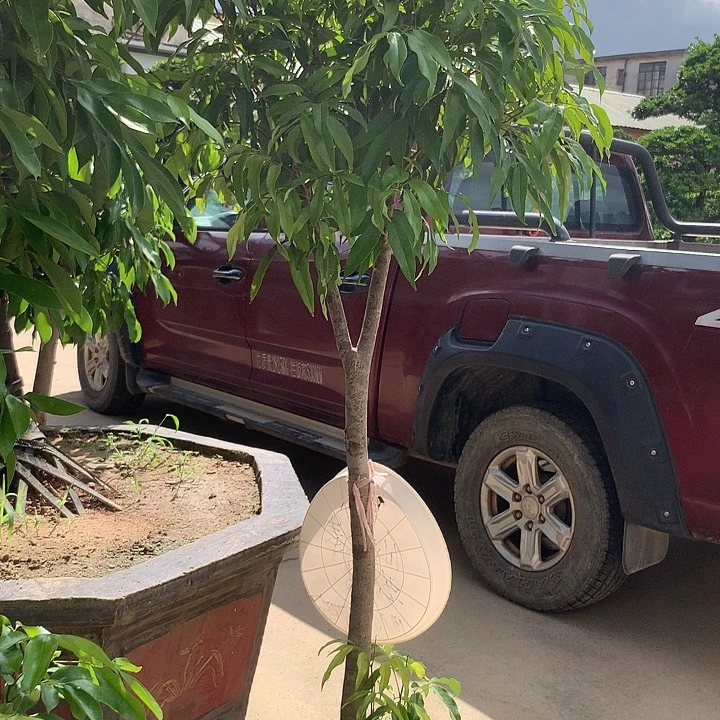 E***A无花朵457986589559868966977