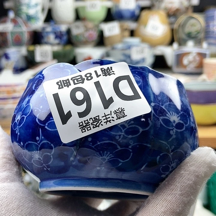 瓷片曾*茹1111111111111111