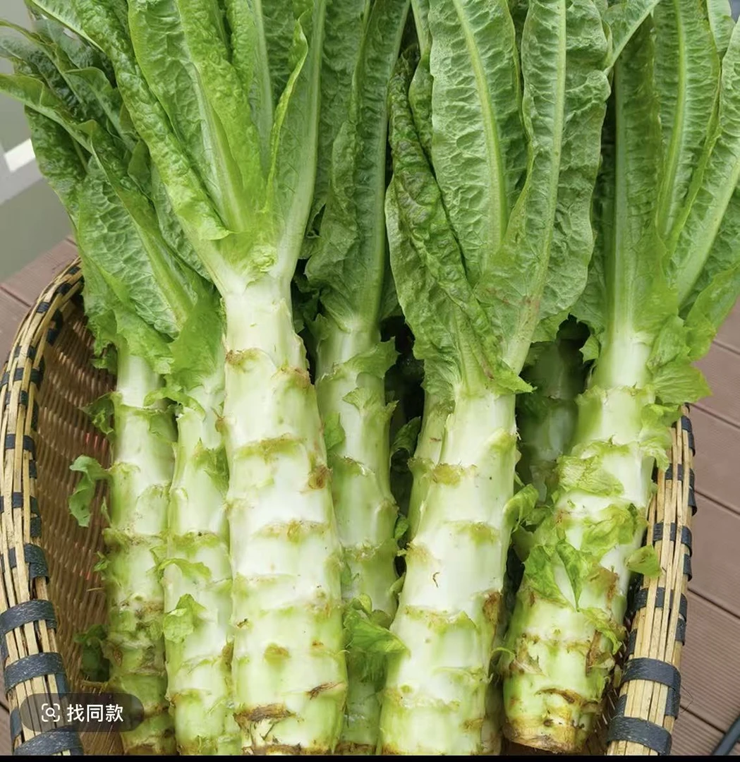 湖北新鲜紫叶青皮莴笋脆嫩可口当季时令蔬菜5