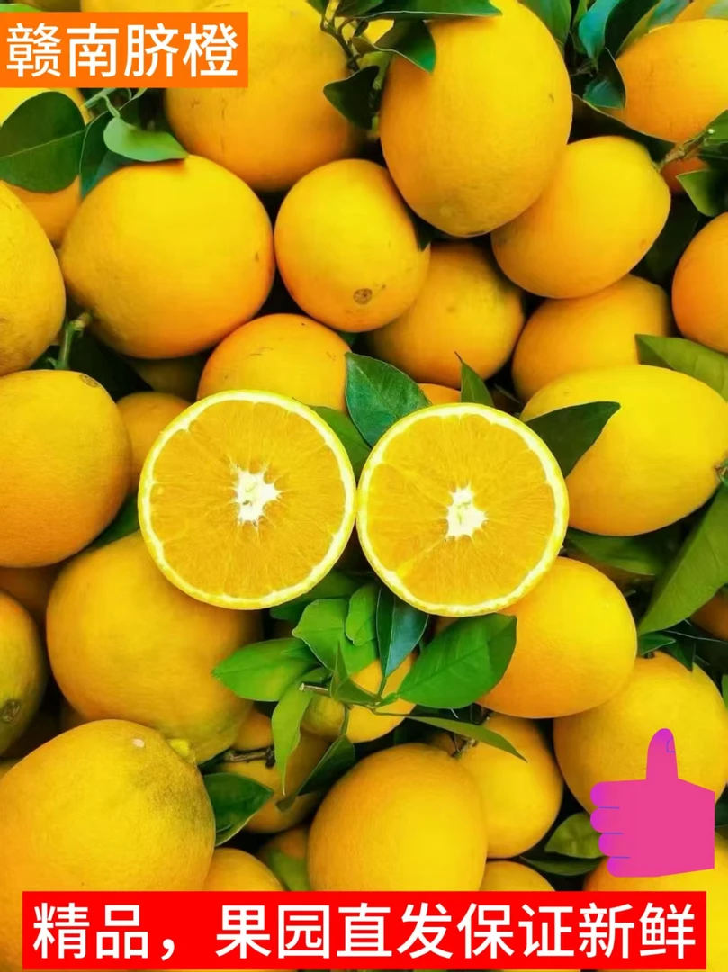 正宗赣南脐橙原产地直发不打腊不泡药水现摘现发自家种