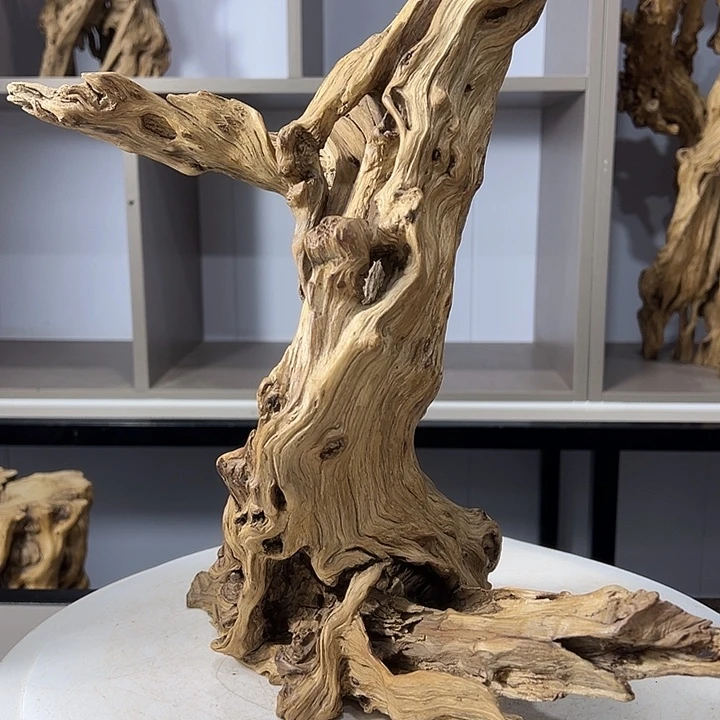 木石榴木榴疤风化木摆件