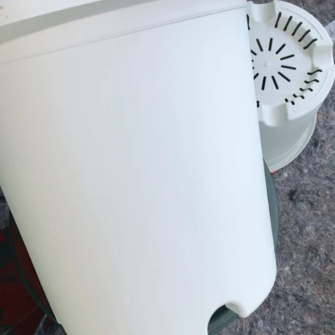7加奶白无托微瑕3个
