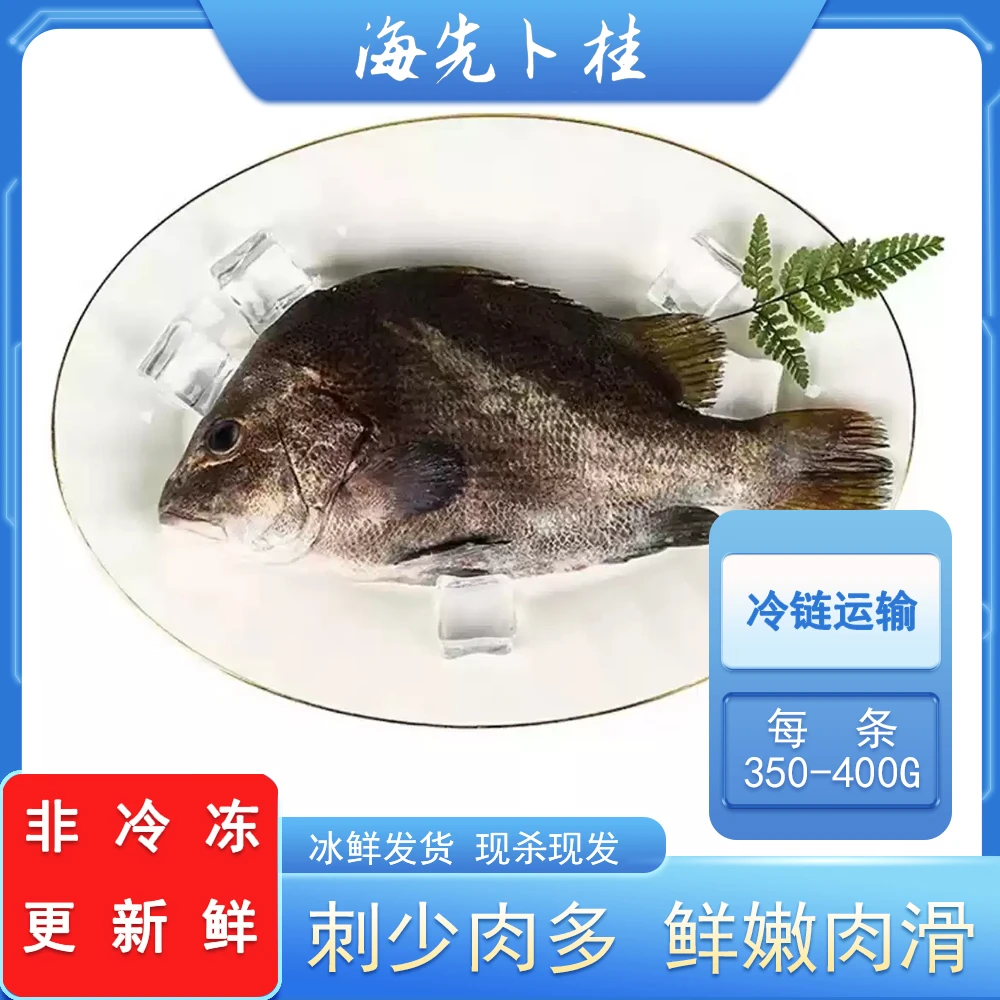 鲜活包公鱼现杀冰鲜发货