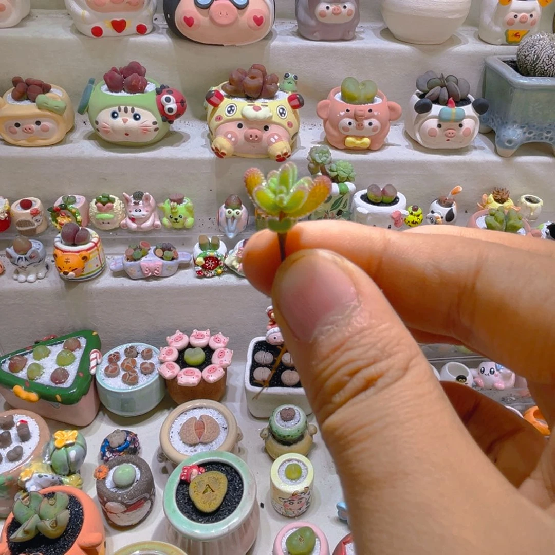 弦*语解语宝贝专属补拍肉肉链接拍拍