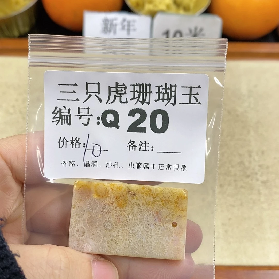 硅化珊瑚（珊瑚玉）1未镶嵌欣**喜