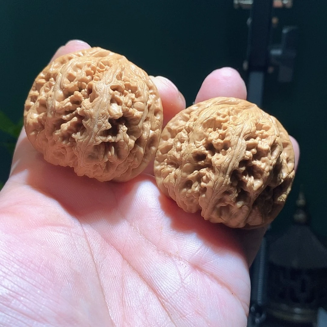 把件文玩核桃47大粗筋全品