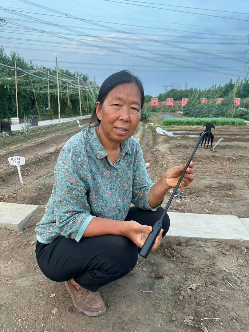 除草神器园艺锄草耙子农具松挖土小锄头