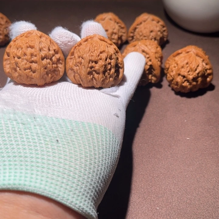 T***.精品白狮子三角白