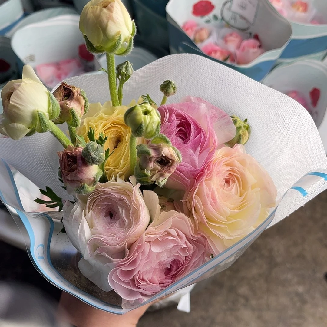 全部花苞超大基地（蜜桃派）5枝