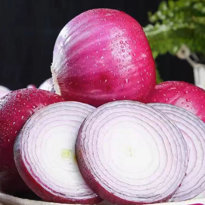 紫皮水果洋葱新鲜洋葱甜味生吃蔬菜红皮大圆葱头特产农家现挖现发