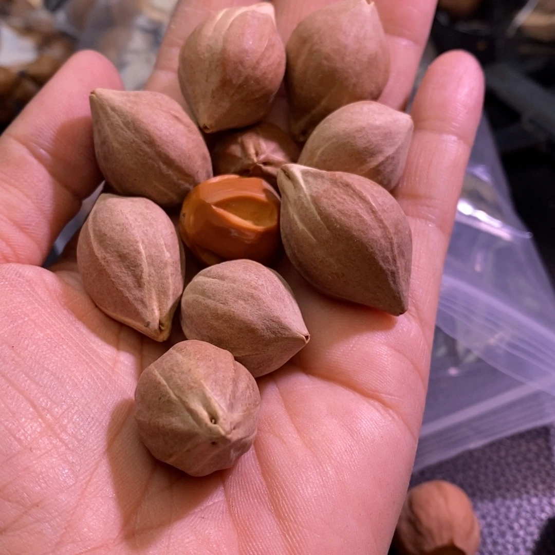 点***墨手串/手链橄榄核1
