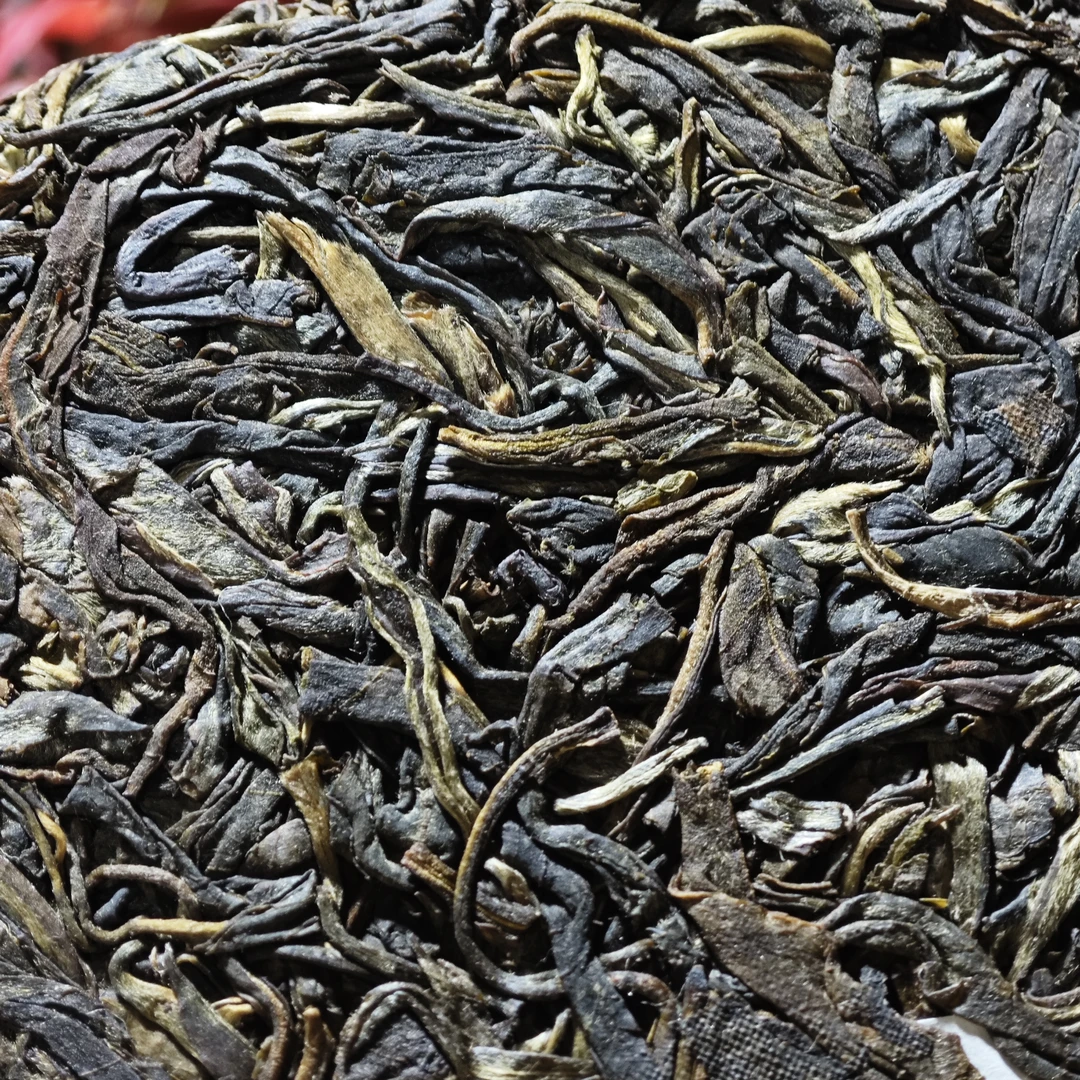 【大表姐专属】2013年 倚邦曼鬆42號 王子山林下古乔 生茶357g