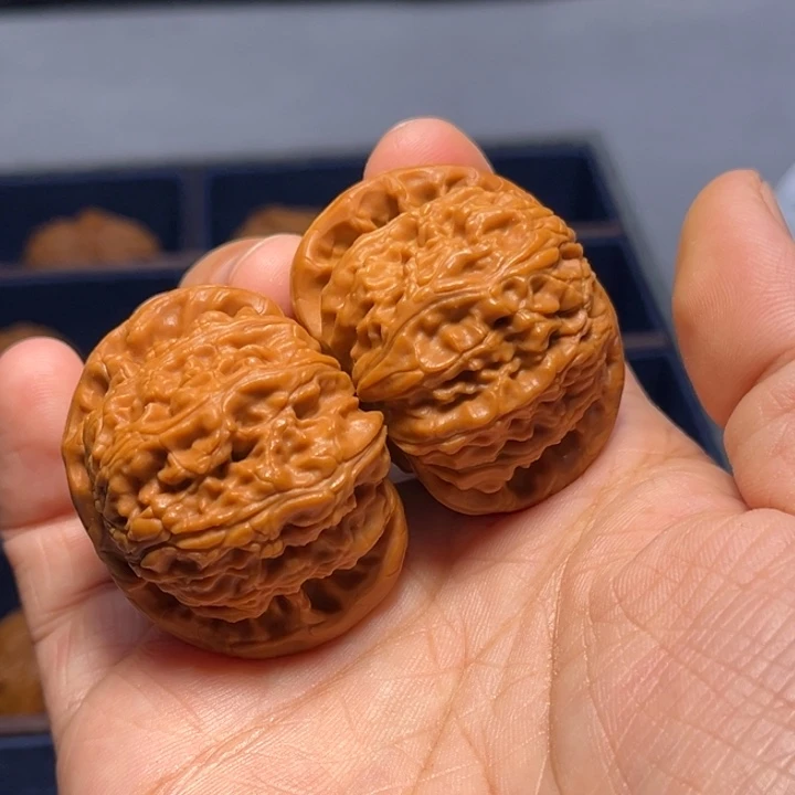 把件桃核白狮子5971