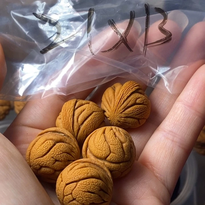 文玩核桃手串秦岭野生龙纹桃核21