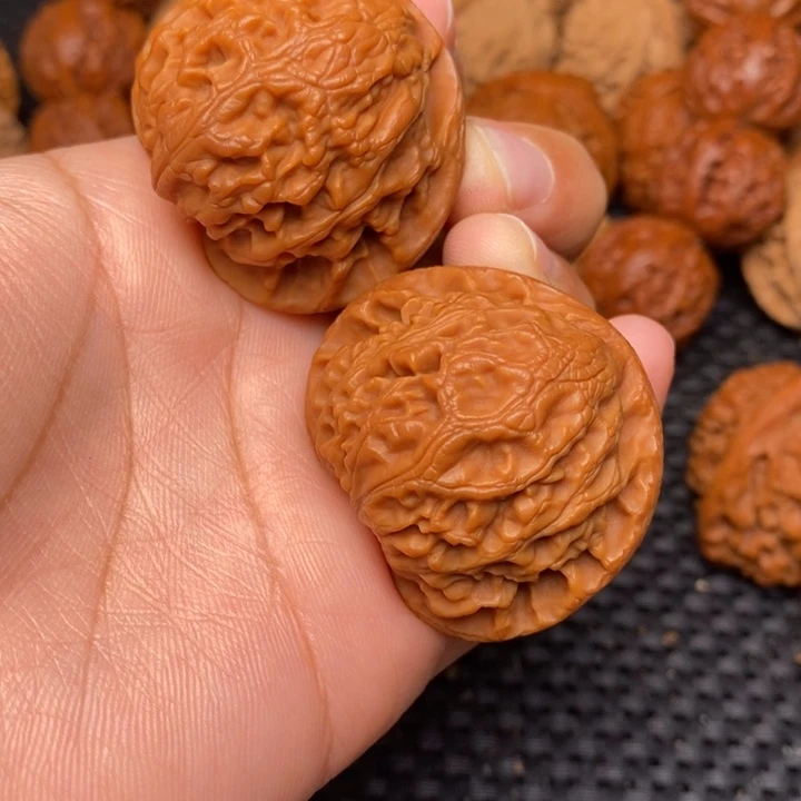 秦岭野生000000052