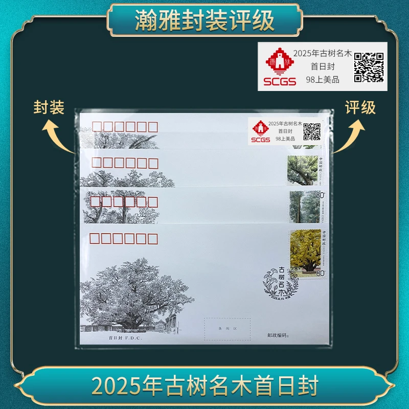 2025年古树名木首日封 瀚雅评级 98上美品