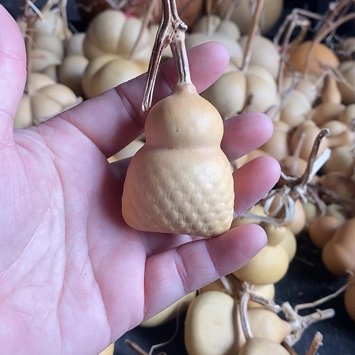 葫芦的颜色很好看