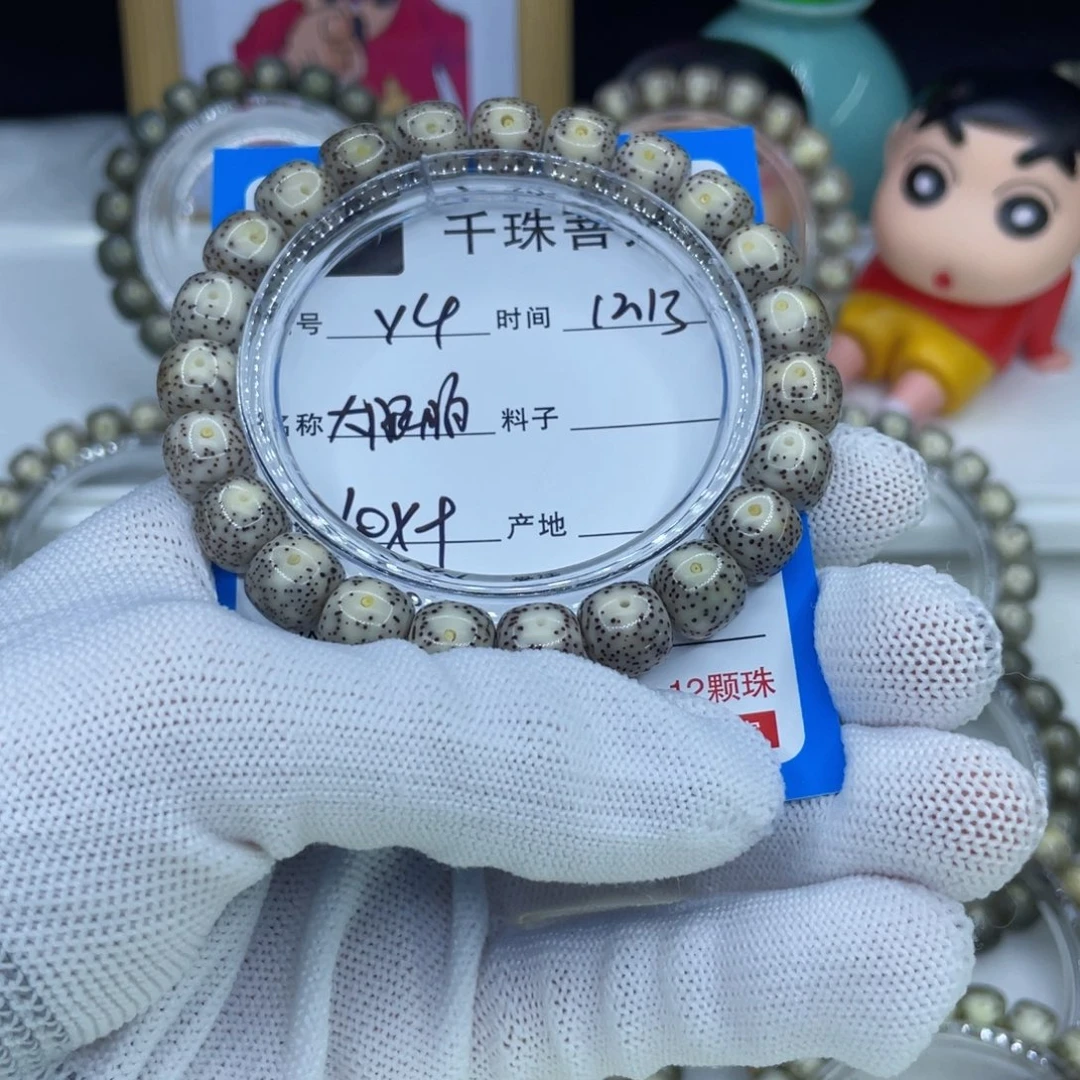 菩提籽类Y4大眼睛