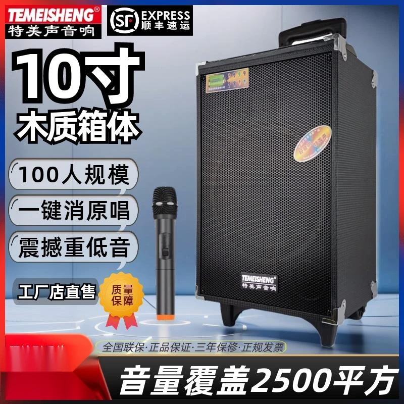 特美声A10-2户外大功率广场舞移动拉杆音响带话筒k歌演出蓝牙汽车