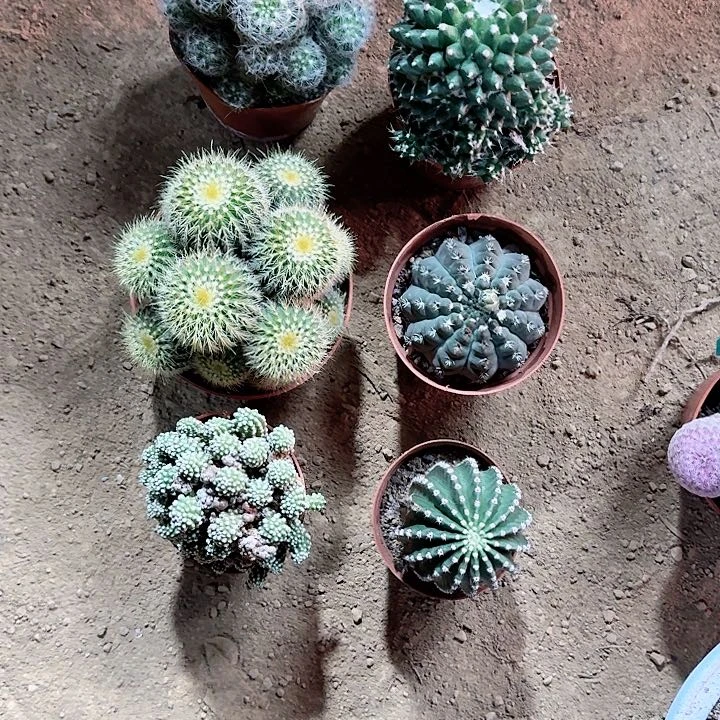 赵***灬哈哈哈哈哈哈哈哈哈