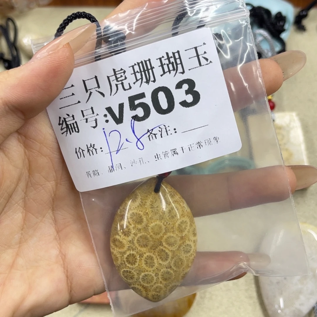 *****硅化珊瑚（珊瑚玉）未镶嵌h