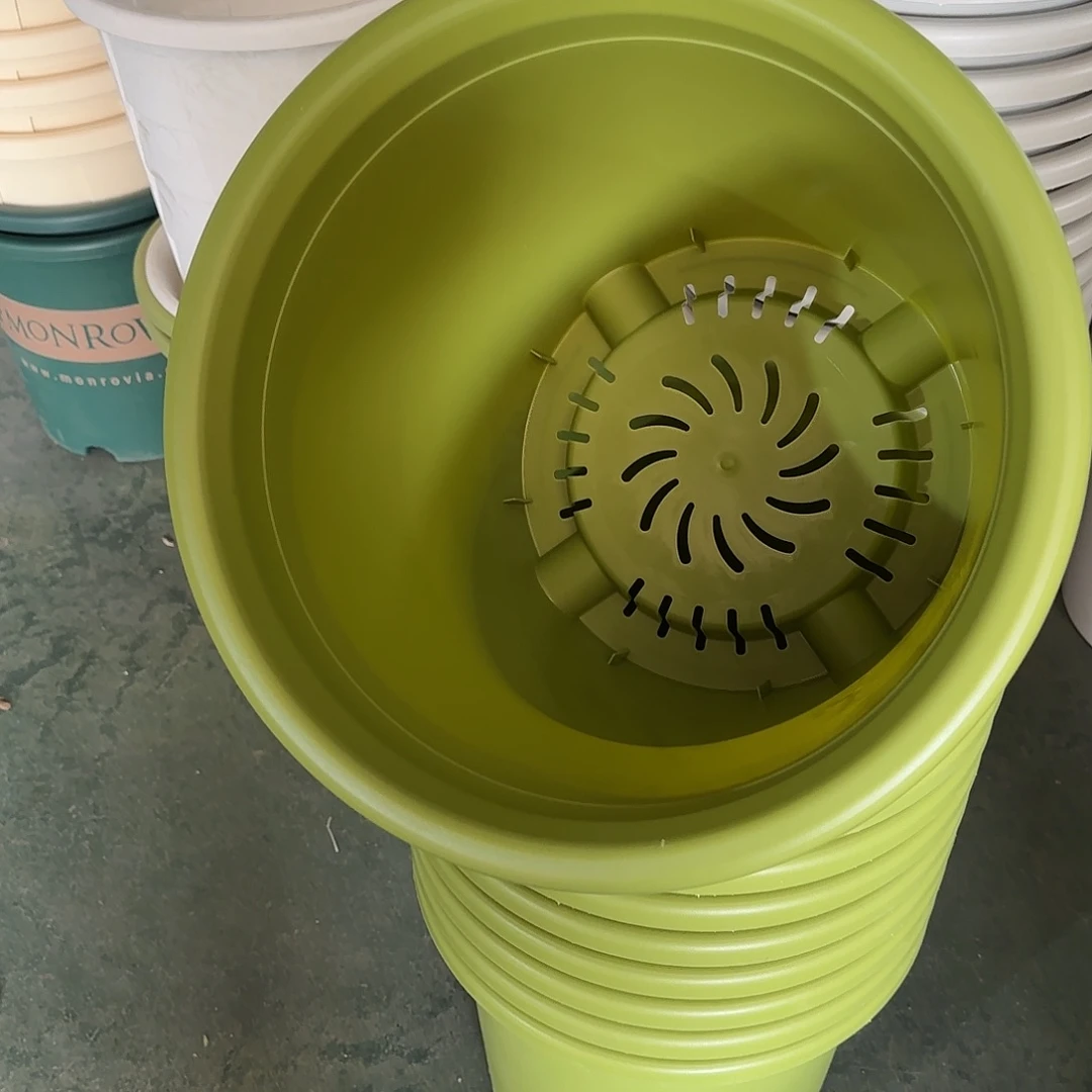 树脂四季8号无托5个果绿微瑕