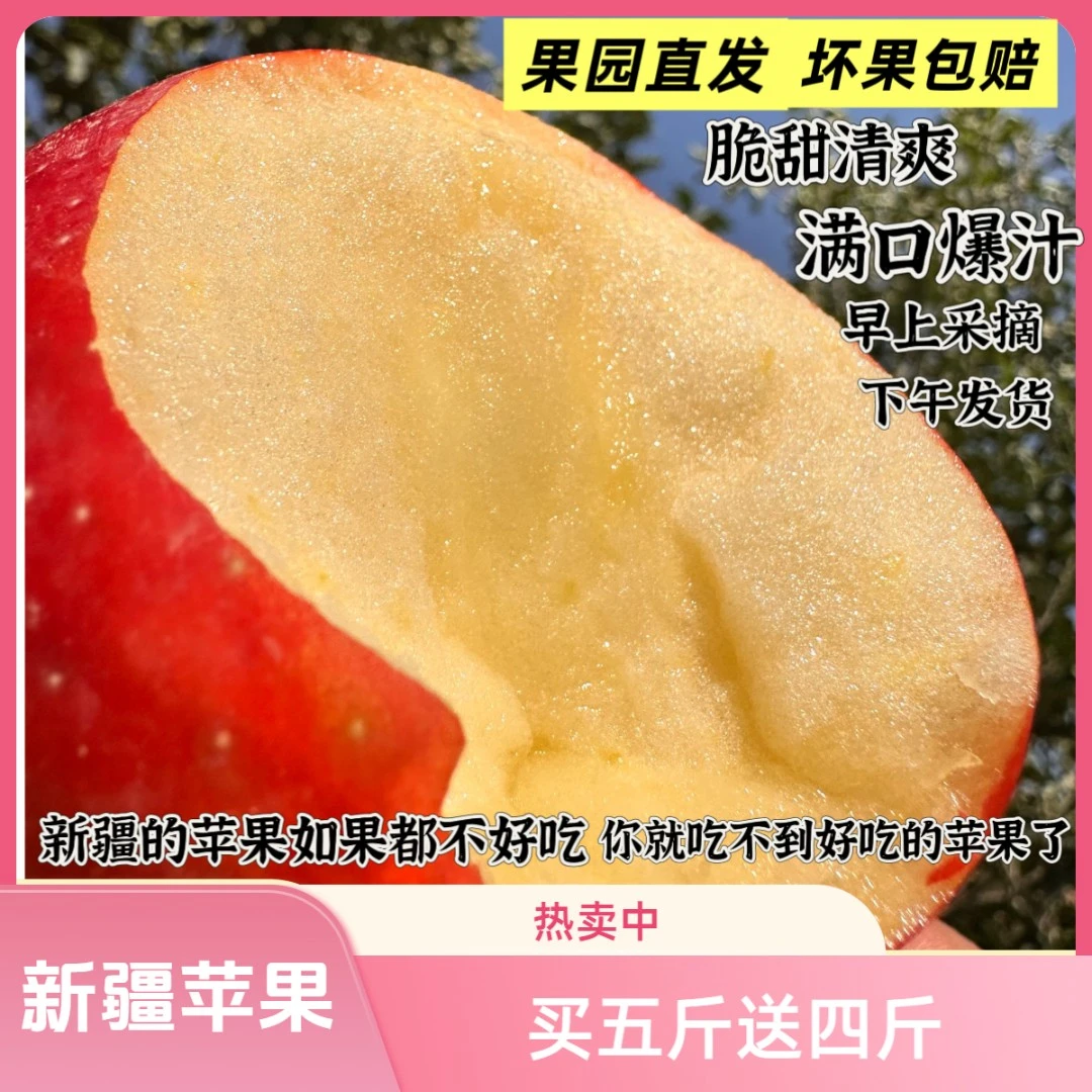【果园直发】2025年八月果新疆蜜脆苹果阿克苏红旗坡脆甜多汁水包邮