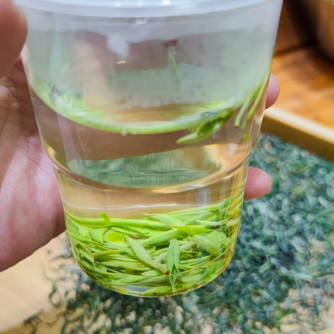 一级芽茶姚淮茶叶