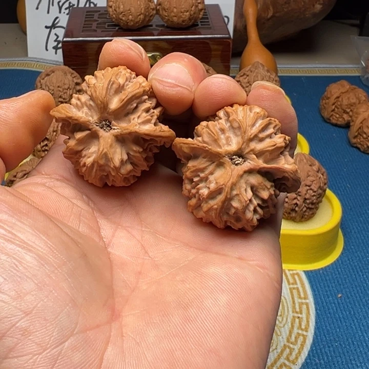 核桃苹果园全品无修40尺