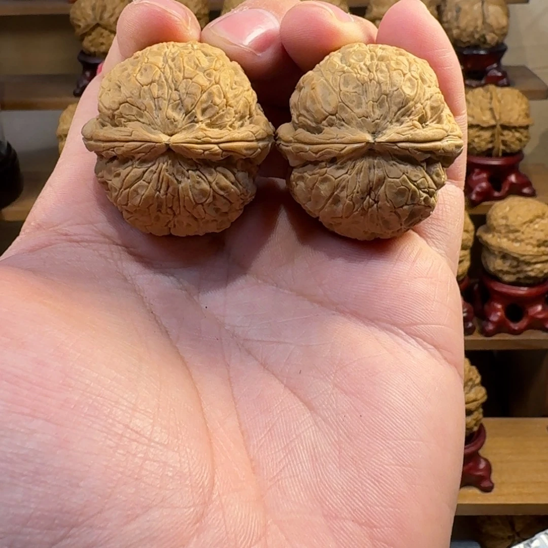 铁核桃把件龙鳞元宝