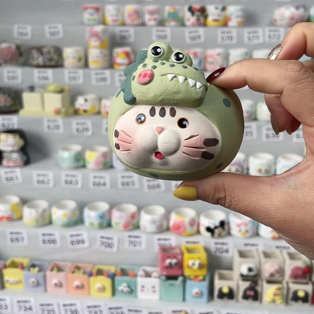 红陶磁*菇555555555