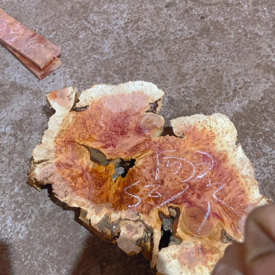 向*血柏血柏血柏