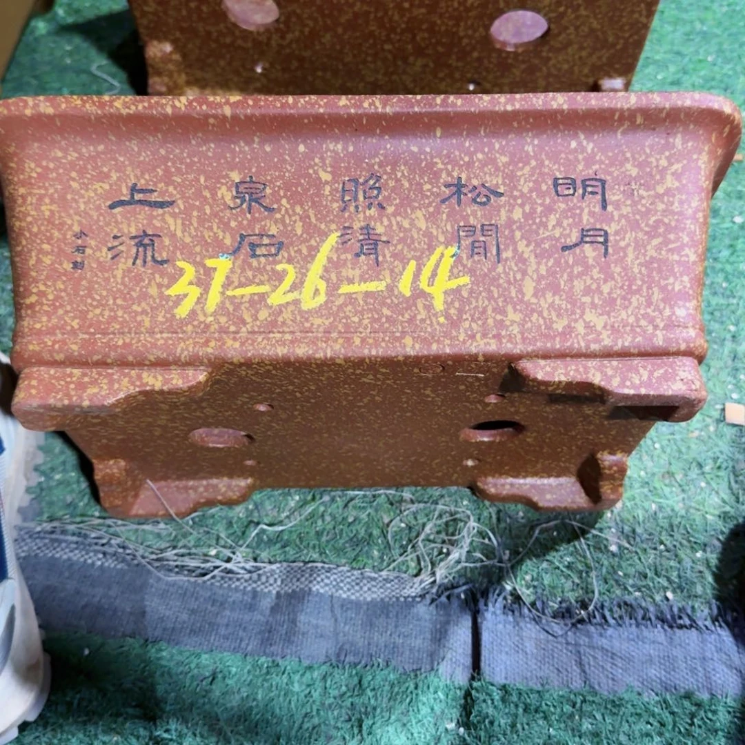 花盆紫砂紫砂花盆