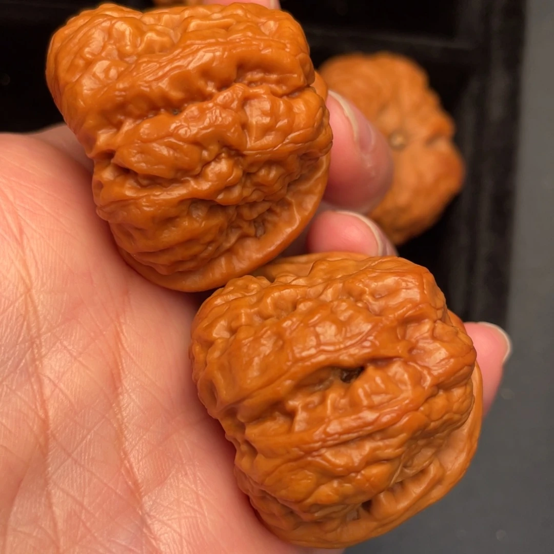 秦岭野生文玩核桃