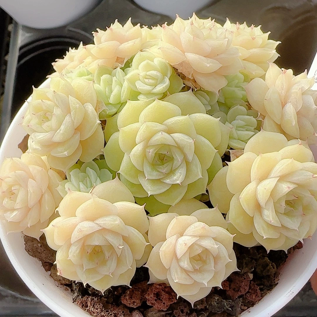 1125-147（ht-76）优选