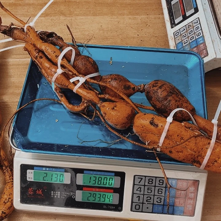 中国大陆平**福牛大力