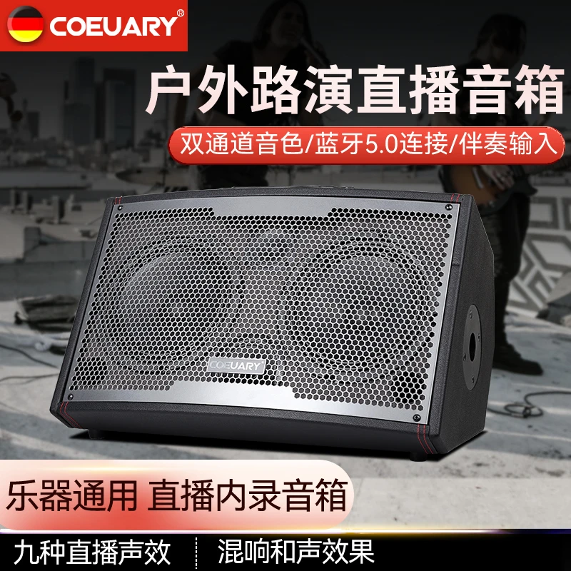大功率双八寸户外音响乐器吉他萨克斯电吹管路演演出专业音响直播