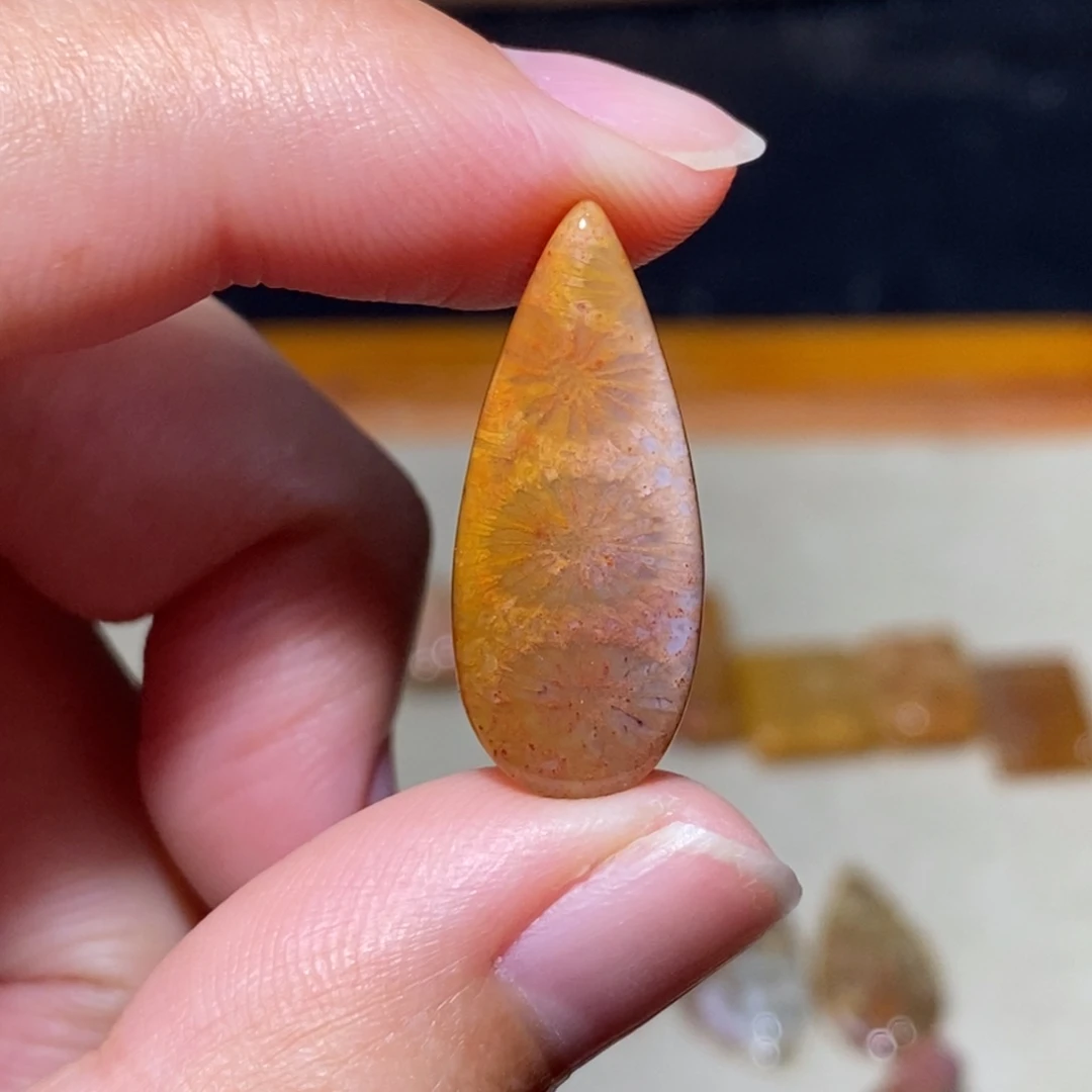 【闪购商品】硅化玉颈饰未镶嵌