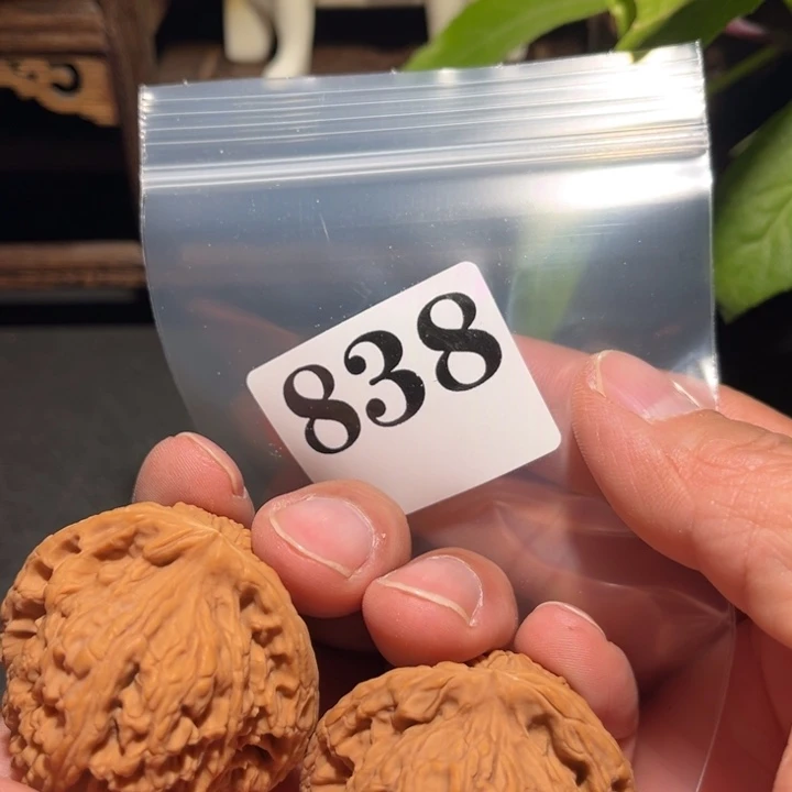 核桃44南疆石凹底对歪