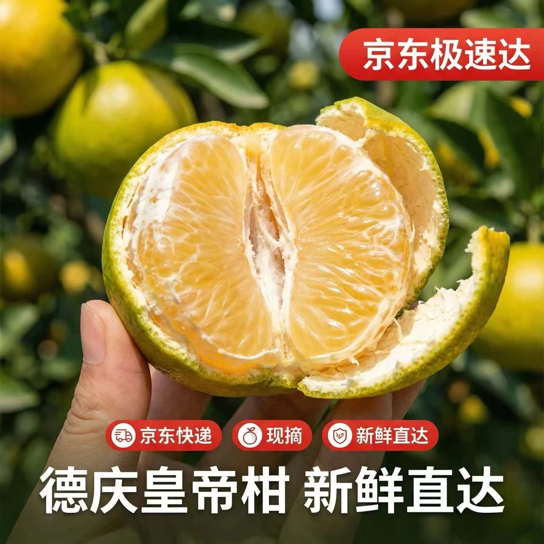 【京东次日达】正宗广东德庆皇帝柑新鲜现摘皮薄肉厚多汁当季水果皇帝柑广东省