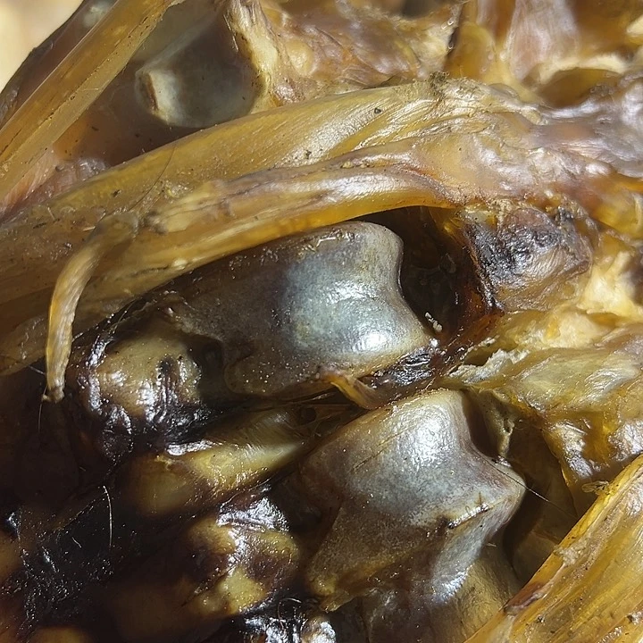 半***癫yyhu整套大的带筋一半