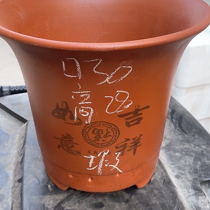红陶紫砂紫砂紫砂