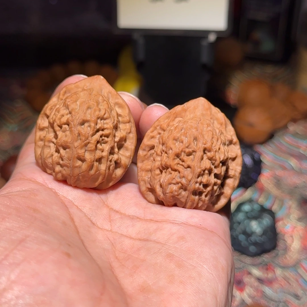 阿****把件文玩核桃023原生树玉观音，尺寸38 36 42