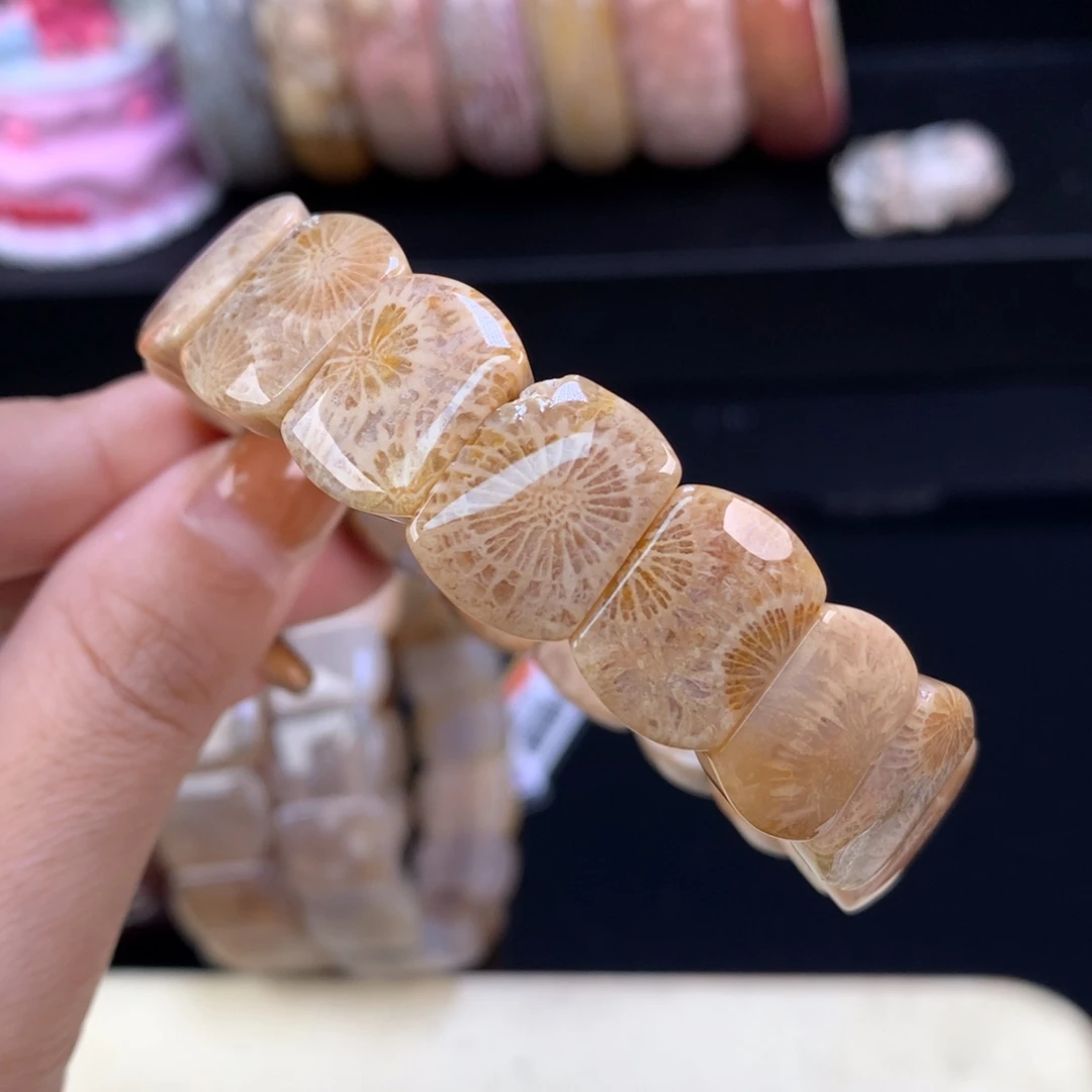 硅化珊瑚（珊瑚玉）未镶嵌颈饰五折漏价手牌16号