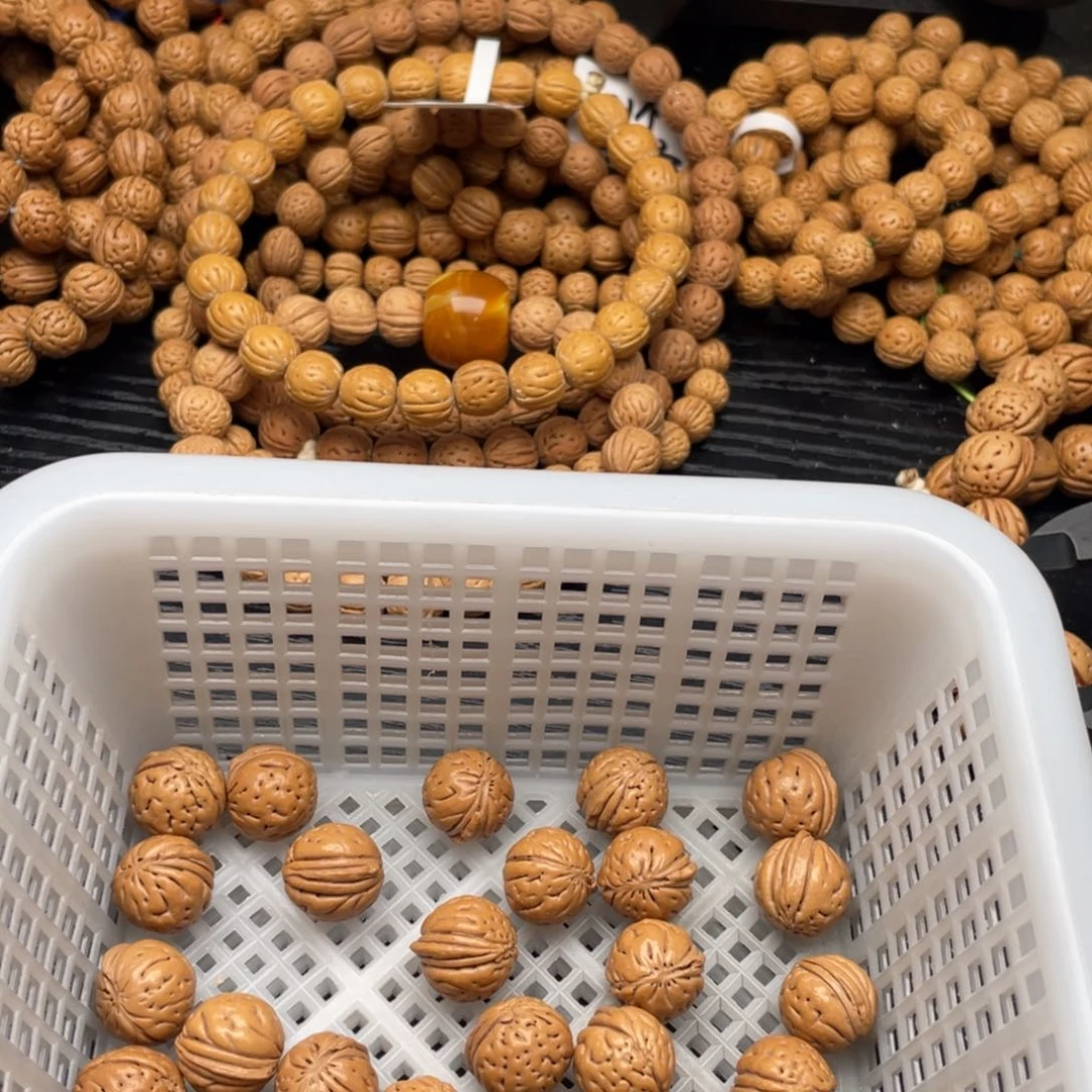【闪购商品】歪***德散子批发50米