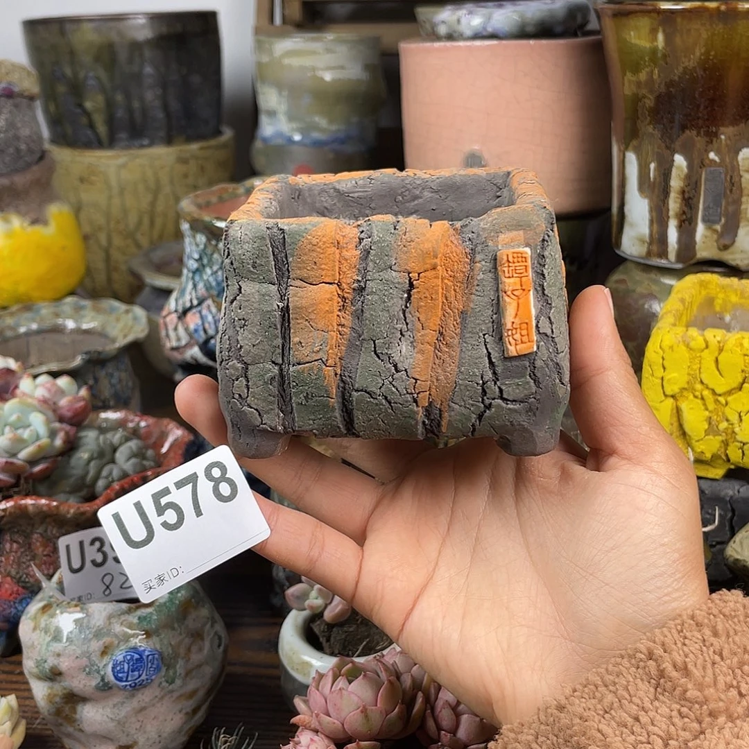 默认微次 元旦福利 坛子姐花盆