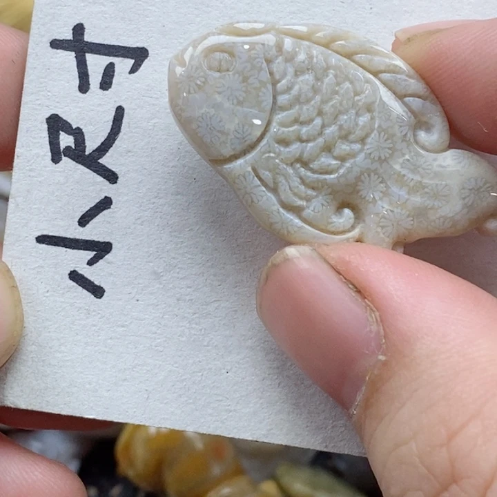 颈饰未镶嵌硅化珊瑚（珊瑚玉）