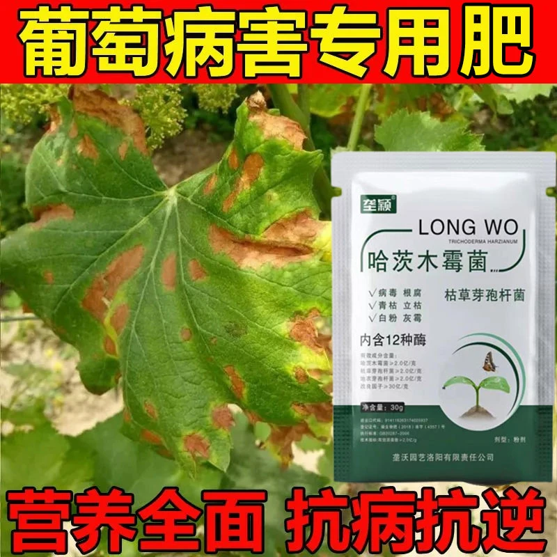 葡萄黄叶病有锈斑枯萎专用微生物菌剂水溶肥防黑痘病褐斑病转色病