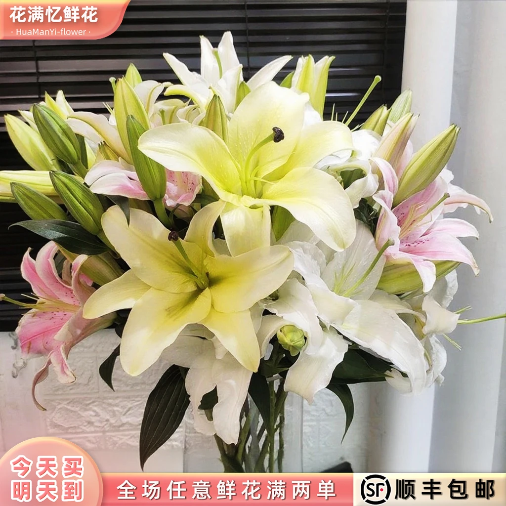 次日达-达人专属 -【五彩香水百合】混色百合6-8朵，高佣金，全国10仓发货，结算快，专属解答直播问题