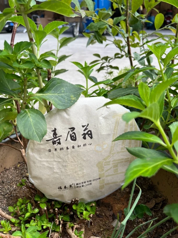 福春莱 2020寿眉翁茶饼 350克1饼